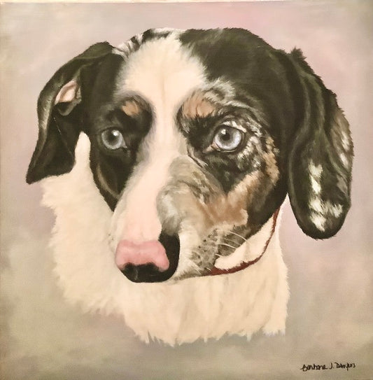 Gretel Dog Portrait