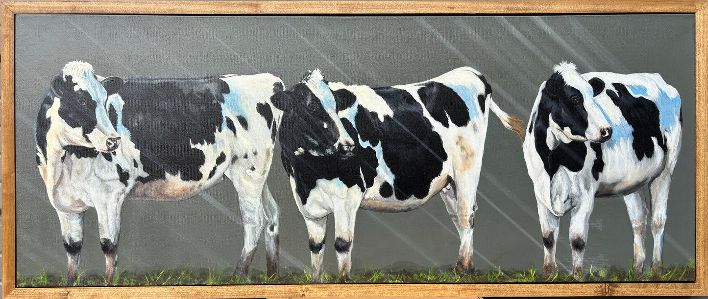Original Art "The Three" Cow Painting