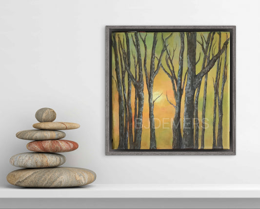 Seeing Through The Trees